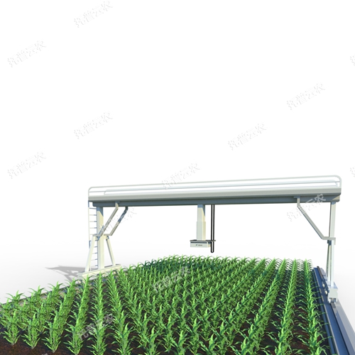 轨道式田间高通量植物表型采集分析平台TP-GTL-1-UG